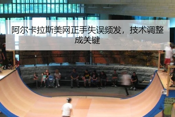 a-er-ka-la-si-mei-wang-zheng-shou-shi-wu-pin-fa-ji-shu-tiao-zheng-cheng-guan-jian-2-996.jpg